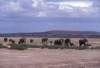 Click Image to Enlarge