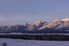 Click Image to Enlarge