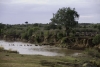 Click Image to Enlarge
