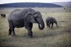 Click Image to Enlarge