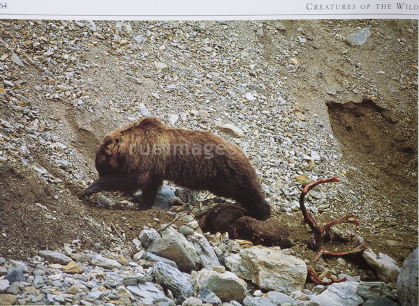 rue_080314_8661.jpg