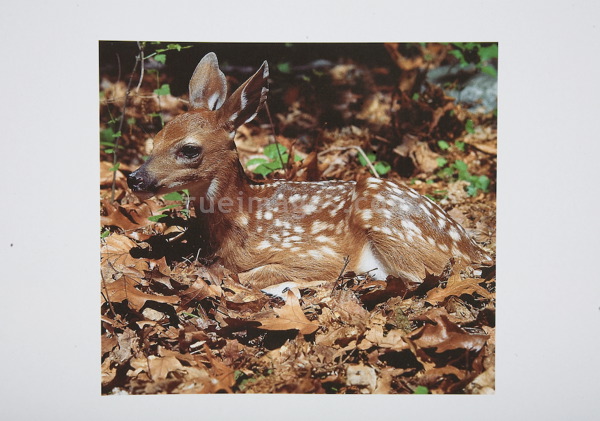 rue_080316_9315.jpg
