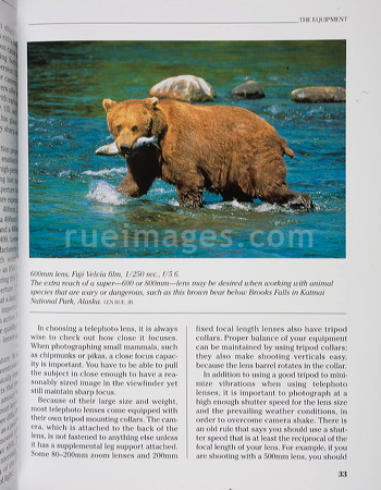 rue_080316_9391.jpg