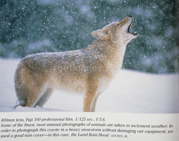 rue_080316_9396.jpg