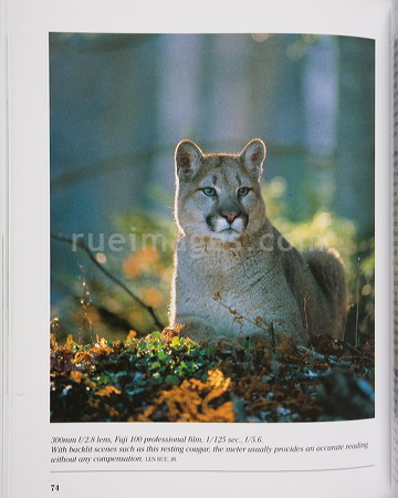 rue_080316_9408.jpg