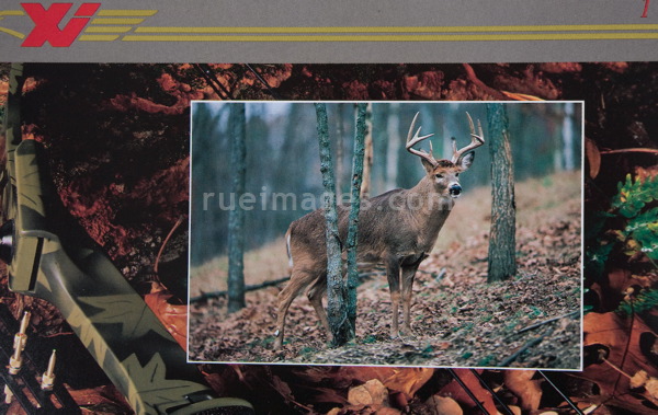 rue_080317_9585.jpg