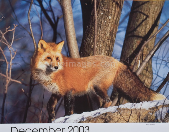 rue_080314_8388.jpg