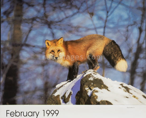 rue_080314_8483.jpg